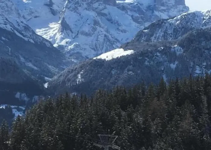 Hofer By Interhome *